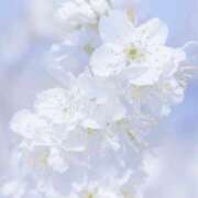 ヒメ日記 2025/08/19 19:05 投稿 みづき AVANCE福岡