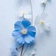 ヒメ日記 2025/08/21 11:48 投稿 みづき AVANCE福岡