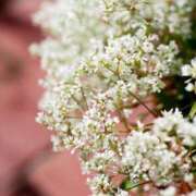 ヒメ日記 2025/09/11 11:36 投稿 みづき AVANCE福岡