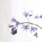 ヒメ日記 2025/11/13 21:36 投稿 みづき AVANCE福岡