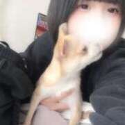 ヒメ日記 2025/12/12 13:30 投稿 るあ ドM女学園大阪