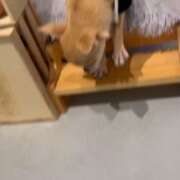 ヒメ日記 2026/01/01 23:34 投稿 るあ ドM女学園大阪