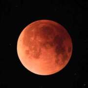 ヒメ日記 2025/09/08 08:19 投稿 ココ 石川小松ちゃんこ