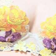 ヒメ日記 2025/09/17 14:59 投稿 ココ 石川小松ちゃんこ