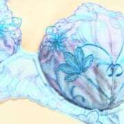 ヒメ日記 2025/09/25 16:29 投稿 ココ 石川小松ちゃんこ