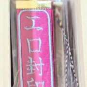 ヒメ日記 2025/10/02 13:59 投稿 ココ 石川小松ちゃんこ