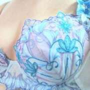 ヒメ日記 2025/10/17 16:49 投稿 ココ 石川小松ちゃんこ