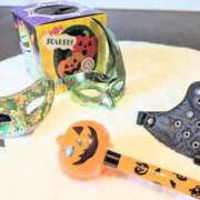 ヒメ日記 2025/10/31 14:39 投稿 ココ 石川小松ちゃんこ