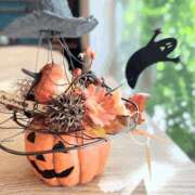 ヒメ日記 2025/10/31 17:30 投稿 ココ 石川小松ちゃんこ