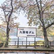 ヒメ日記 2025/11/03 11:39 投稿 ココ 石川小松ちゃんこ