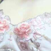 ヒメ日記 2025/11/10 20:29 投稿 ココ 石川小松ちゃんこ