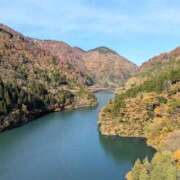 ヒメ日記 2025/11/17 07:53 投稿 ココ 石川小松ちゃんこ