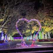 ヒメ日記 2025/11/24 12:30 投稿 ココ 石川小松ちゃんこ