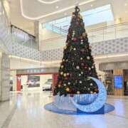 ヒメ日記 2025/12/12 12:09 投稿 ココ 石川小松ちゃんこ