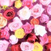 ヒメ日記 2025/12/24 17:39 投稿 ココ 石川小松ちゃんこ