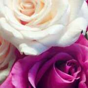 ヒメ日記 2026/01/06 12:59 投稿 ココ 石川小松ちゃんこ