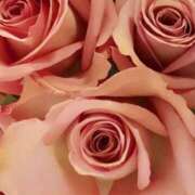 ヒメ日記 2026/01/09 04:16 投稿 ココ 石川小松ちゃんこ