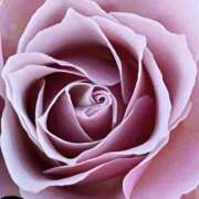 ヒメ日記 2026/01/23 23:29 投稿 ココ 石川小松ちゃんこ