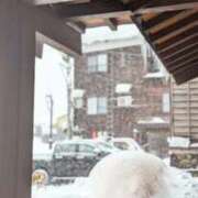 ヒメ日記 2026/01/26 10:49 投稿 ココ 石川小松ちゃんこ