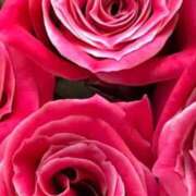 ヒメ日記 2026/02/21 10:25 投稿 ココ 石川小松ちゃんこ