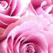 ヒメ日記 2026/02/21 19:19 投稿 ココ 石川小松ちゃんこ