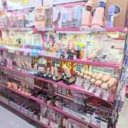 ヒメ日記 2026/02/23 11:49 投稿 ココ 石川小松ちゃんこ