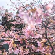 ヒメ日記 2026/03/18 11:12 投稿 ココ 石川小松ちゃんこ