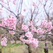 ヒメ日記 2026/04/07 00:42 投稿 ココ 石川小松ちゃんこ