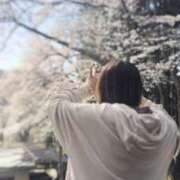 ヒメ日記 2026/04/07 13:02 投稿 ココ 石川小松ちゃんこ