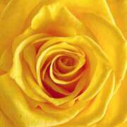 ココ 本指名のM様ぁ😘👋 石川小松ちゃんこ