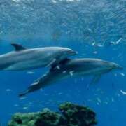 ヒメ日記 2025/09/19 12:30 投稿 まや BAD COMPANY（バッドカンパニー）