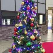 ヒメ日記 2025/12/19 12:30 投稿 まや BAD COMPANY（バッドカンパニー）