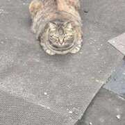 ヒメ日記 2025/09/19 11:16 投稿 ちえみ 大宮おかあさん