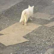 ヒメ日記 2025/12/30 21:16 投稿 ちえみ 西川口おかあさん