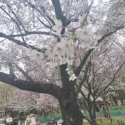 ヒメ日記 2026/04/13 10:16 投稿 ちえみ 西川口おかあさん