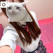 ヒメ日記 2025/11/03 10:25 投稿 まどか 萌えコス