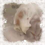 ヒメ日記 2025/11/17 00:49 投稿 まどか 萌えコス