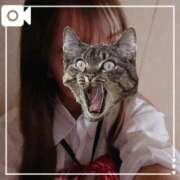 ヒメ日記 2025/12/04 18:34 投稿 まどか 萌えコス