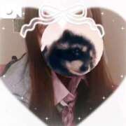 ヒメ日記 2025/12/14 12:47 投稿 まどか 萌えコス