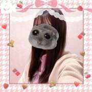 ヒメ日記 2026/02/16 16:40 投稿 まどか 萌えコス