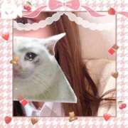 ヒメ日記 2026/04/08 21:35 投稿 まどか 萌えコス