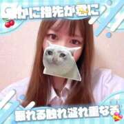 ヒメ日記 2026/05/08 14:25 投稿 まどか 萌えコス