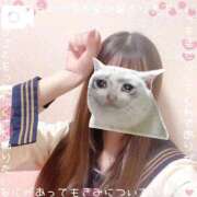 ヒメ日記 2026/05/25 19:16 投稿 まどか 萌えコス