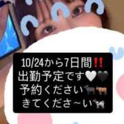 しゅうか 🚨取り急ぎ‼️ 姫コレクション 高崎前橋店