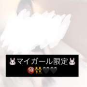 しゅうか マイガールでみてね♡ 姫コレクション 高崎前橋店