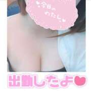 ヒメ日記 2025/09/06 10:03 投稿 ぴの ぷよステーション大宮店