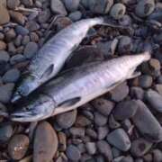 ヒメ日記 2025/10/23 19:29 投稿 このみ 恋愛生欲情の扉