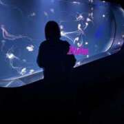 ヒメ日記 2025/09/27 13:02 投稿 るか One More 奥様　五反田店