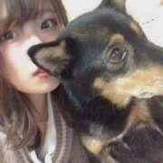 ヒメ日記 2025/09/10 13:43 投稿 ゆいか マリン土浦本店