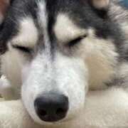 ヒメ日記 2025/11/06 15:02 投稿 ゆいか マリン土浦本店